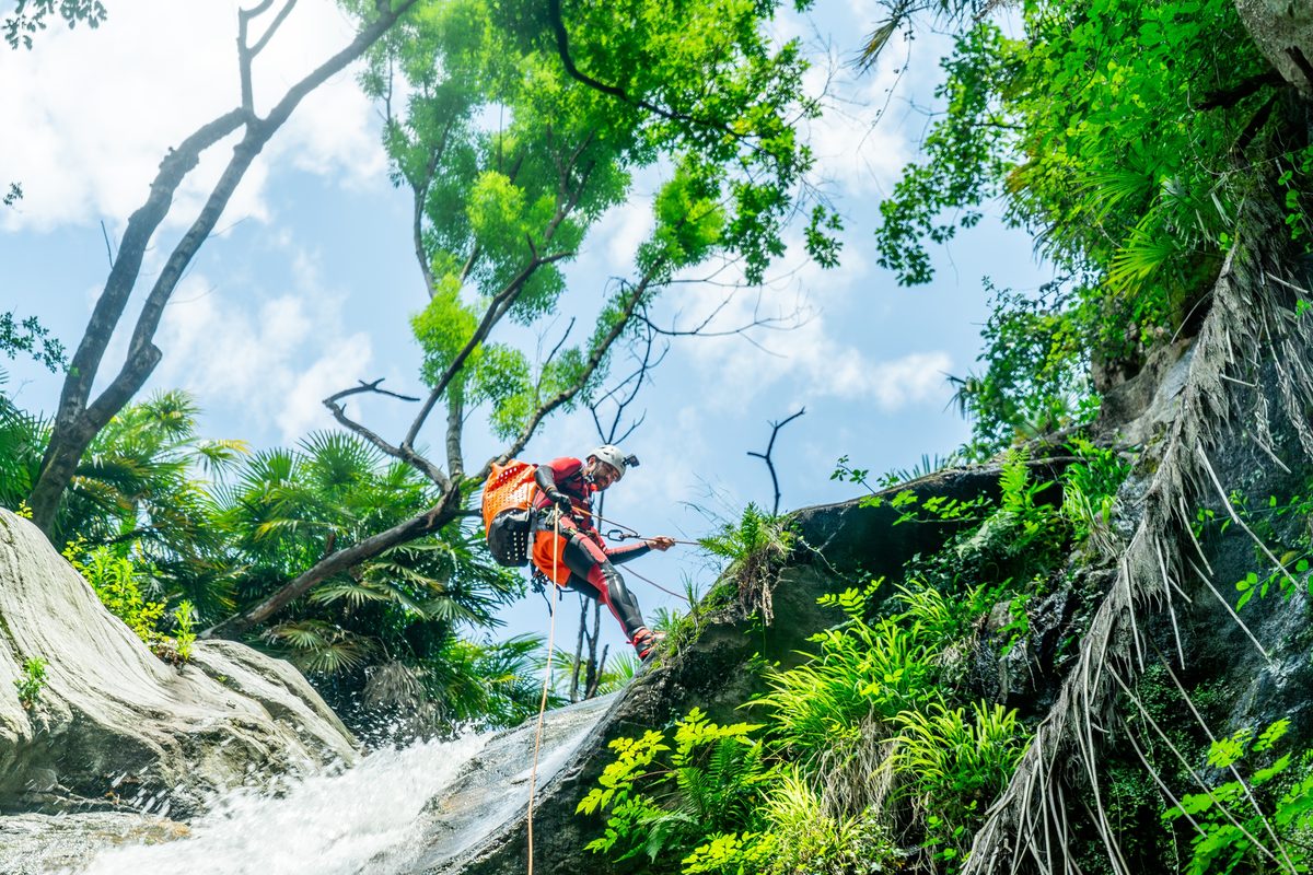 Abseilen — Froschperspektive mit Vegetation